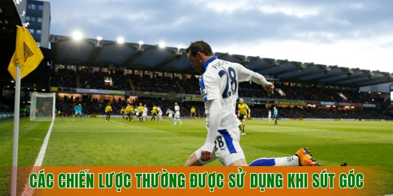 cac-chien-luoc-thuong-duoc-su-dung-khi-thuc-hien-sut-goc