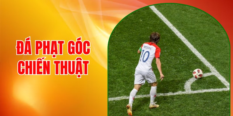 da-phat-goc-chien-thuat