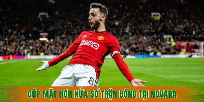 gop-mat-hon-nua-so-tran-bong-tai-novara