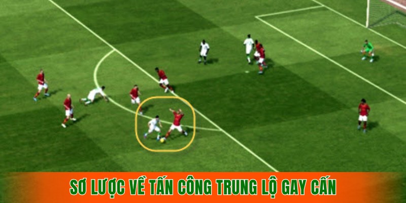 so-luoc-ve-tan-cong-trung-lo-gay-can