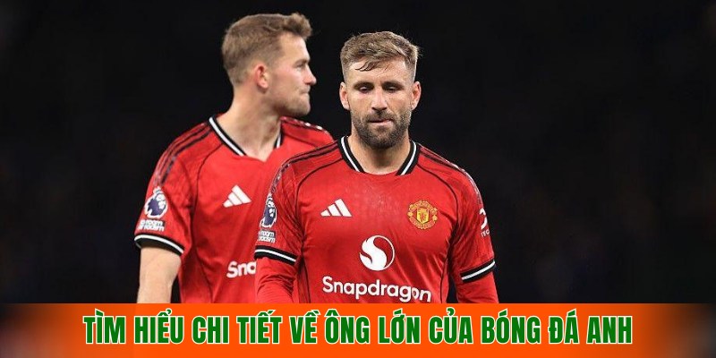 tim-hieu-chi-tiet-ve-ong-lon-cua-bong-da-anh