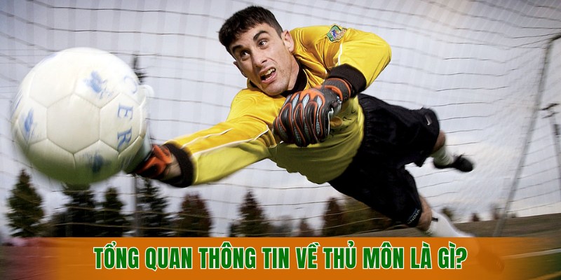tong-quan-thong-tin-ve-thu-mon-la-gi